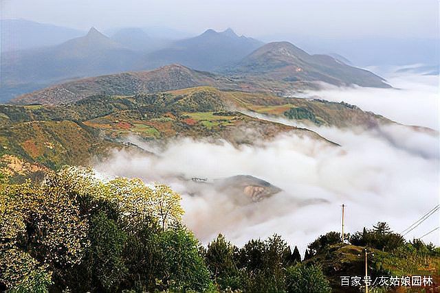 金龍潭周邊有哪些人文景觀？ 金龍潭周邊有哪些人文景觀？ 龍魚百科 第5張