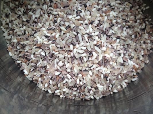 紅龍魚壽命是多長時間（紅龍魚的壽命受到多種因素影響）