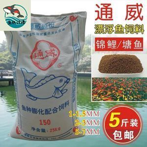 小龍魚喂什么最好吃又營養：小龍魚可以喂食多種食物，小龍魚喂什么最好吃又營養