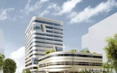 上海金龍魚總部在哪，上海金龍魚總部位于上海市浦東新區(qū)博成路1379號金龍魚大廈 上海金龍魚總部在哪，上海金龍魚總部位于上海市浦東新區(qū)博成路1379號金龍魚大廈 龍魚百科 第3張