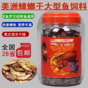 雪龍魚飼料中蛋白質(zhì)來(lái)源：雪龍魚飼料中的蛋白質(zhì)來(lái)源 雪龍魚飼料中蛋白質(zhì)來(lái)源：雪龍魚飼料中的蛋白質(zhì)來(lái)源 龍魚百科 第5張