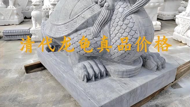 龍龜材質(zhì)的市場價格 龍龜材質(zhì)的市場價格 龍魚百科 第4張