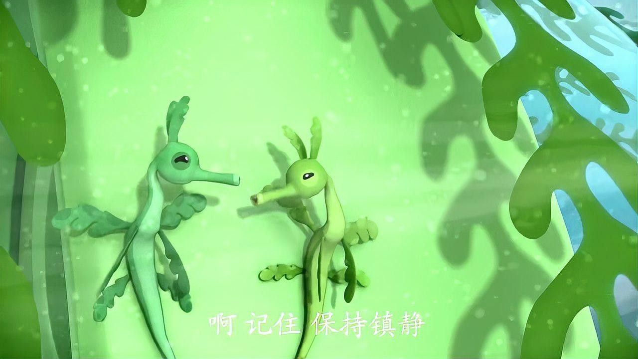 野生海龍魚的圖片欣賞 野生海龍魚的圖片欣賞 龍魚百科 第29張