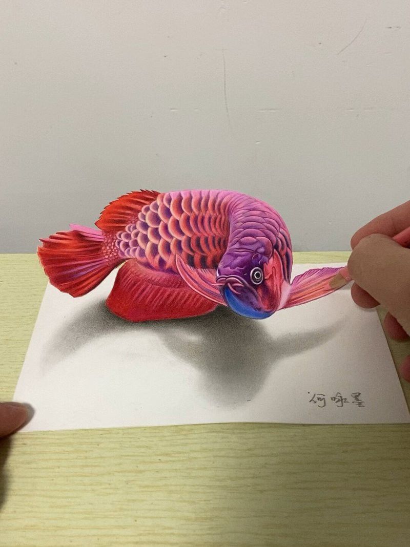 紅龍魚繪畫視頻 紅龍魚繪畫視頻 龍魚百科 第3張