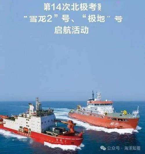 銀龍魚是什么樣的圖片