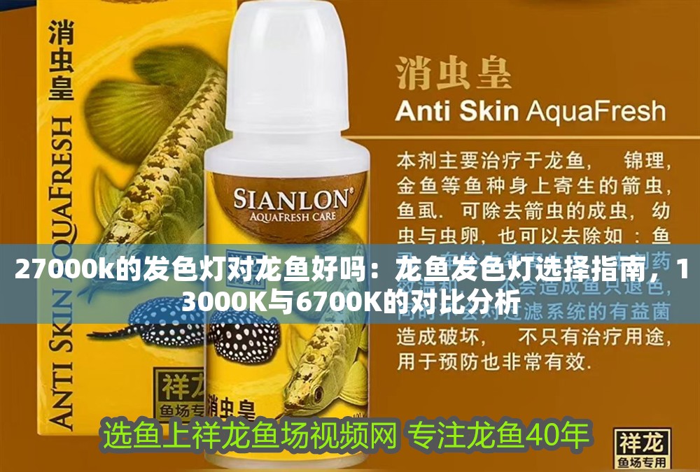 27000k的發色燈對龍魚好嗎：龍魚發色燈選擇指南，13000K與6700K的對比分析