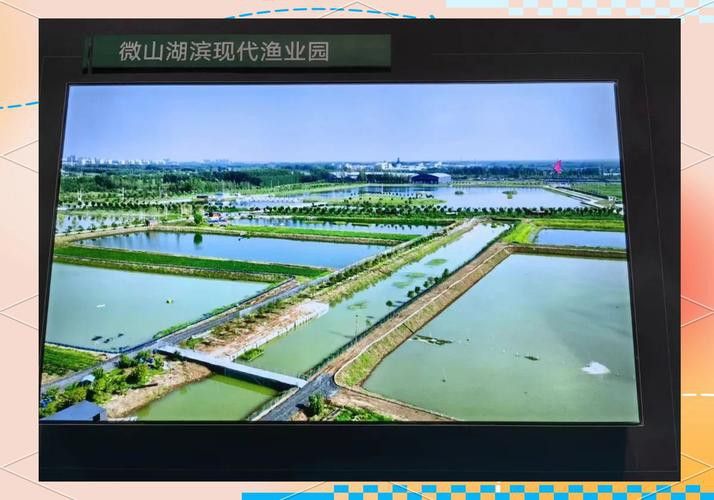 濟(jì)寧龍魚魚場