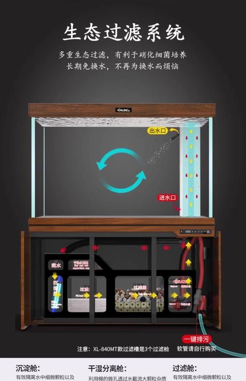 龍魚濾材擺放位置圖片