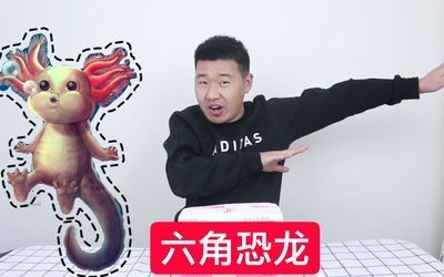 三角恐龍魚有毒嗎，三角恐龍魚的飼養技巧三角恐龍魚的品種介紹