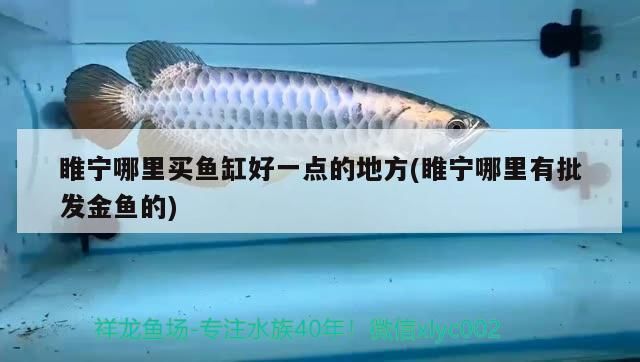 魚(yú)缸用增氧泵價(jià)格是多少:魚(yú)缸增氧機(jī)-xtrac增氧機(jī)-xtrac增氧機(jī) 睢寧哪里買(mǎi)魚(yú)缸好一點(diǎn)的地方(睢寧哪里有批發(fā)金魚(yú)的) 龍魚(yú)百科 睢寧哪里買(mǎi)魚(yú)缸好一點(diǎn)的地方(睢寧哪里有批發(fā)金魚(yú)的) 睢寧哪里買(mǎi)魚(yú)缸好一點(diǎn)的地方(睢寧哪里有批發(fā)金魚(yú)的) 龍魚(yú)百科