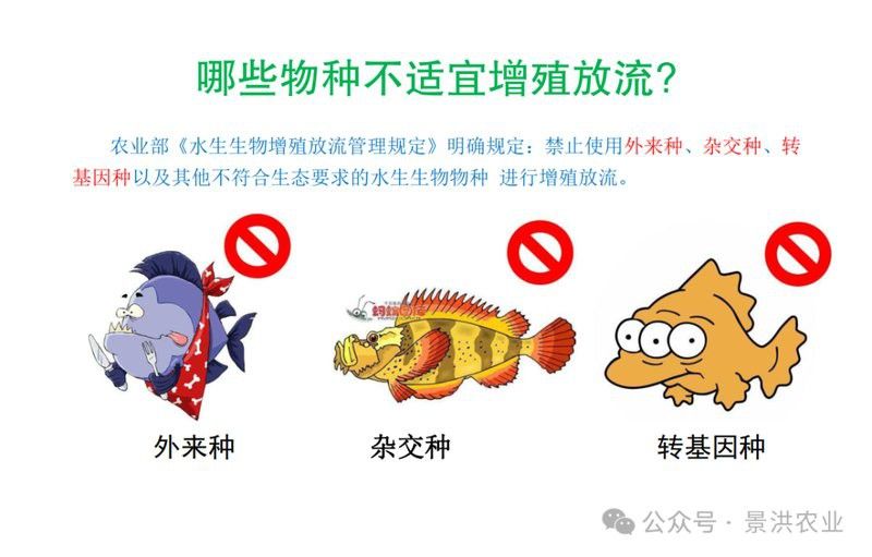 放生青龍魚需要辦理什么手續(xù)嗎？