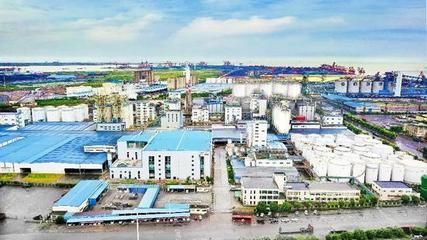防城港金龍魚的養殖產業有望實現更大的發展：防城港金龍魚在廣西防城港市防城區大力發展深海養殖產業