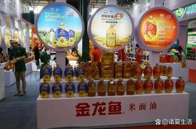 金龍魚發白是什么原因呢