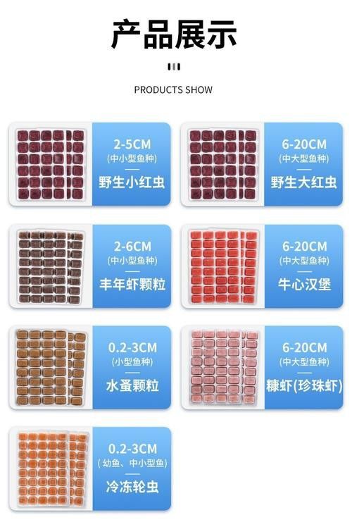 六角恐龍魚吃多大的魚飼料