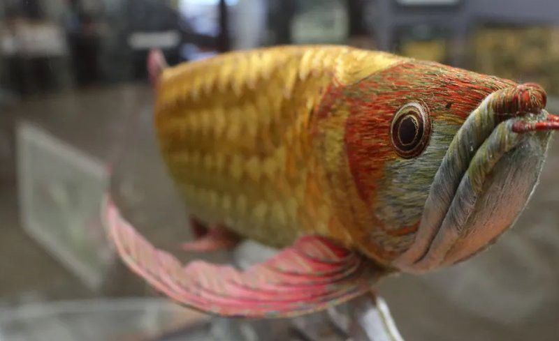 木雕金龍魚有哪些名家作品？ 木雕金龍魚有哪些名家作品？ 龍魚百科 第8張