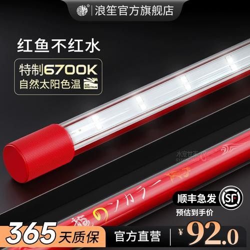雷龍魚用什么燈好