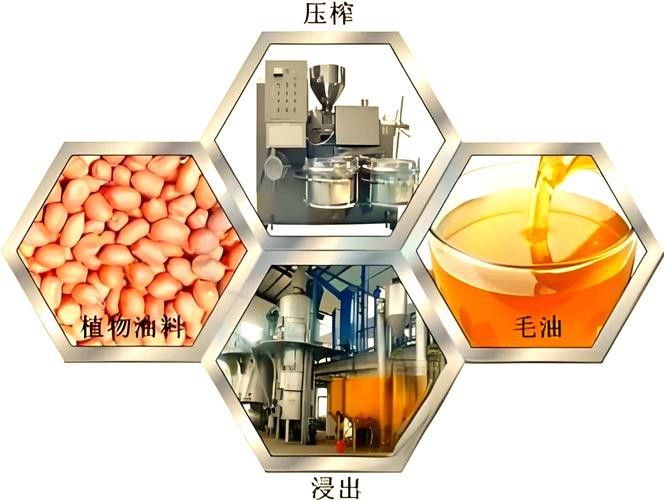 金龍魚深色油和淺色