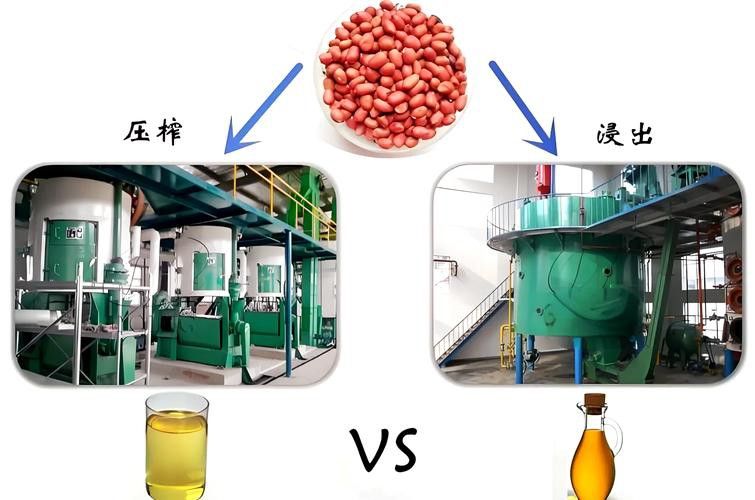 金龍魚深色油和淺色