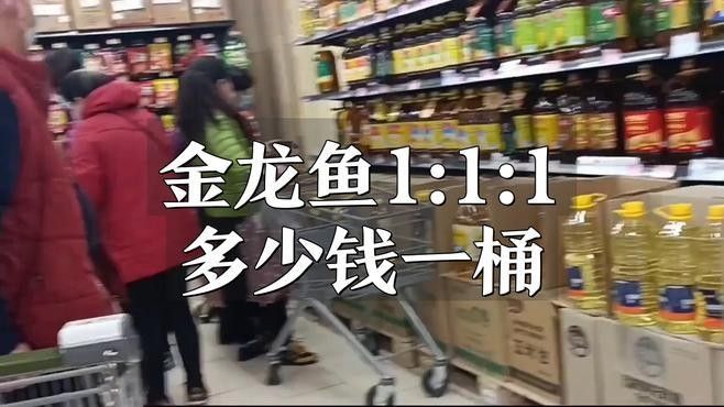 金龍魚調和油價格多少錢 金龍魚調和油價格多少錢 龍魚百科 第1張