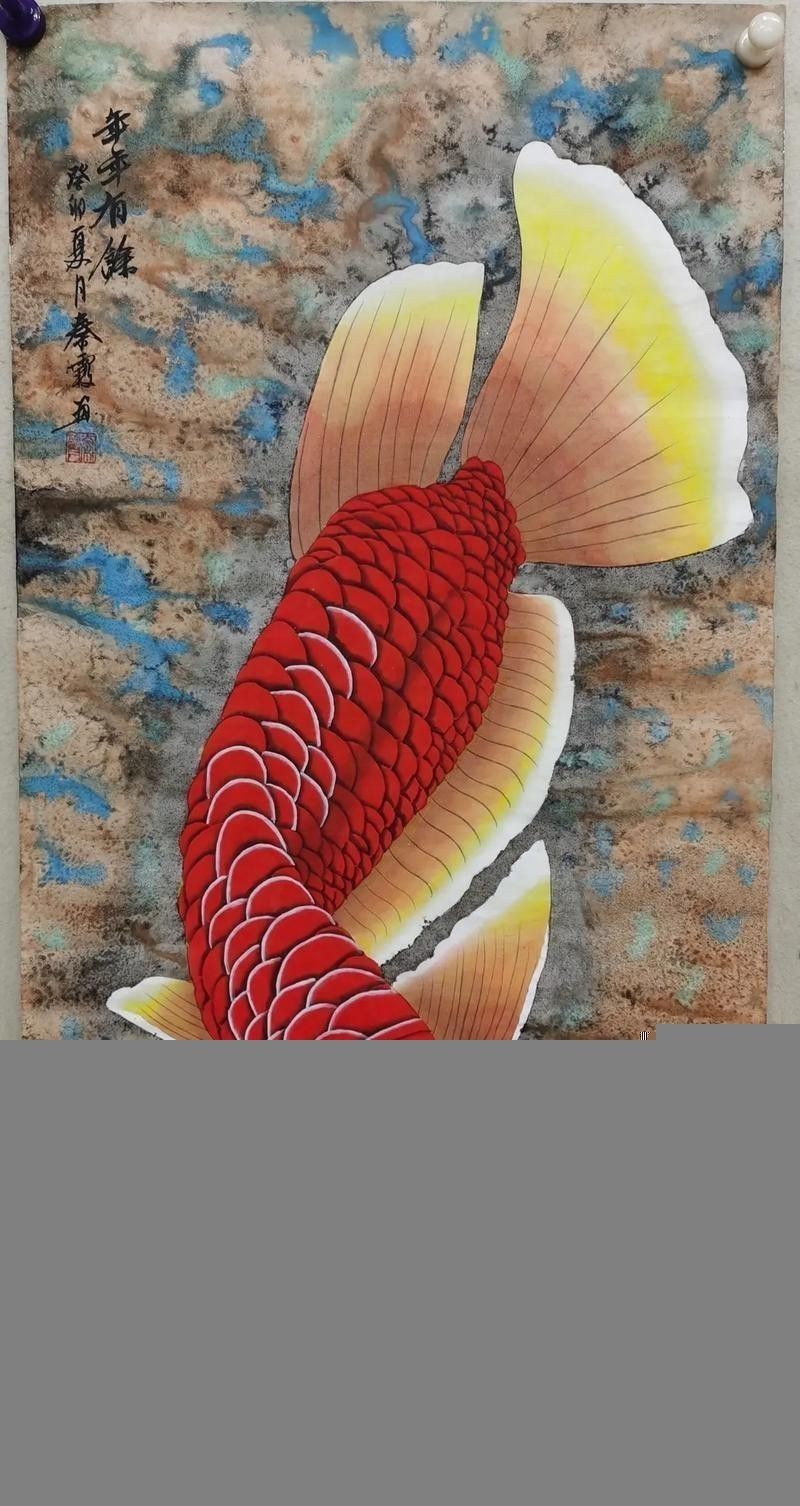 如何找到高清的紅龍魚壁紙？ 如何找到高清的紅龍魚壁紙？ 龍魚百科 第23張