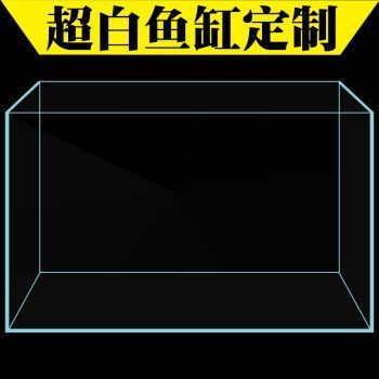 龍魚缸寬度45：一個寬度為45厘米的龍魚缸寬度45適合哪種龍魚