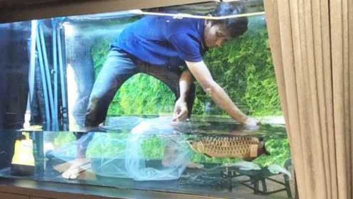 金龍魚吉祥卡價格：金龍魚吉祥卡的價格信息