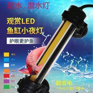 龍魚缸小夜燈用什么顏色最好：龍魚缸夜間照明的最佳實踐