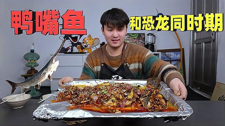海水觀賞魚鴨嘴龍魚怎么養 海水觀賞魚鴨嘴龍魚怎么養 龍魚百科 第2張
