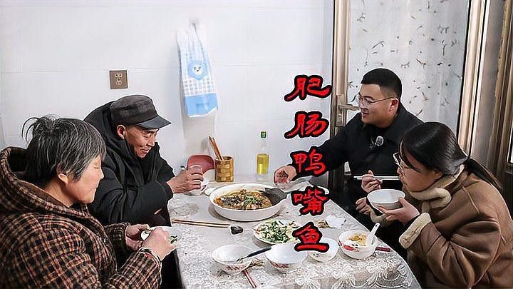 海水觀賞魚鴨嘴龍魚怎么養 海水觀賞魚鴨嘴龍魚怎么養 龍魚百科 第1張