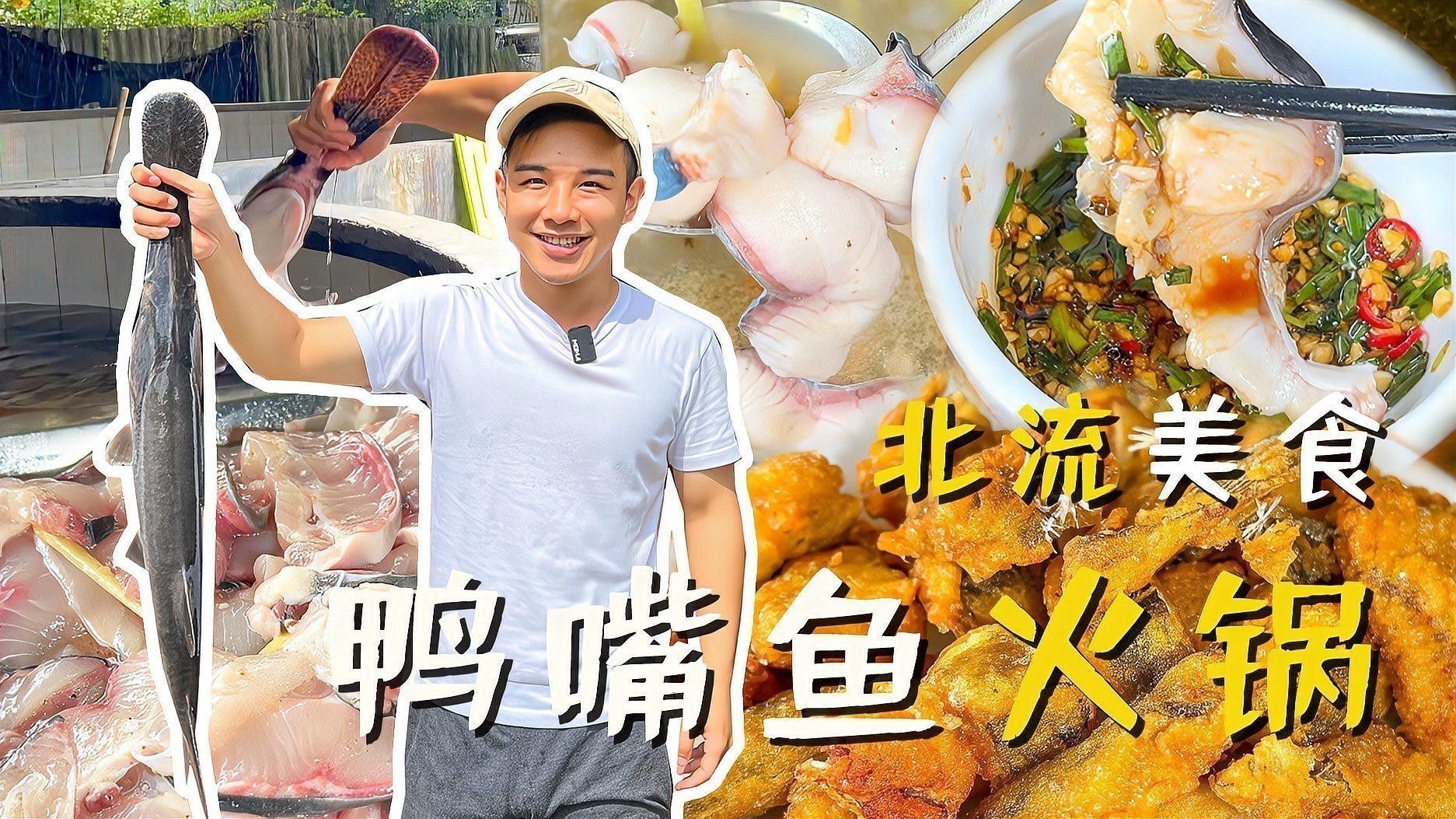 海水觀賞魚鴨嘴龍魚怎么養 海水觀賞魚鴨嘴龍魚怎么養 龍魚百科 第4張