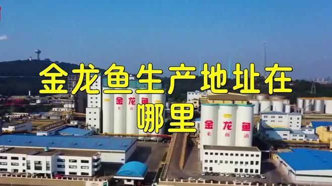 金禾金龍魚是什么檔次的品牌
