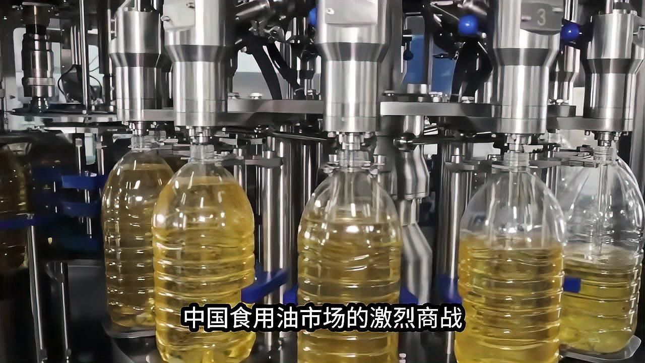 金禾金龍魚是什么檔次的品牌