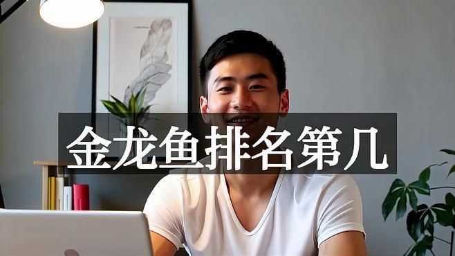 金禾金龍魚是什么檔次的品牌