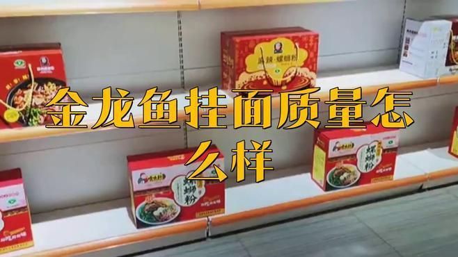 金禾金龍魚是什么檔次的品牌