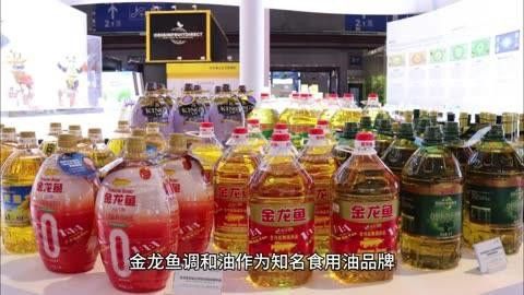 金龍魚調味品的市場占有率是多少？