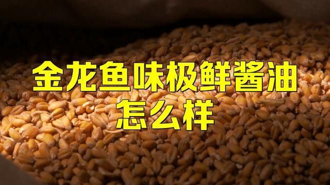 金龍魚調味品的市場占有率是多少？