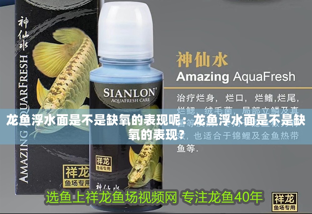 龍魚浮水面是不是缺氧的表現呢：龍魚浮水面是不是缺氧的表現？ 龍魚浮水面是不是缺氧的表現呢：龍魚浮水面是不是缺氧的表現？ 龍魚百科 第1張