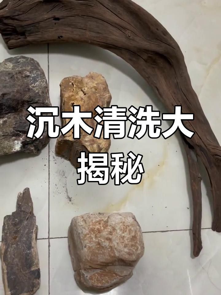 沉木使用前如何處理？