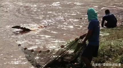 巨骨舌魚棲息地保護現狀，亞馬遜河流域生態保護進展巨骨舌魚人工繁殖技術研究