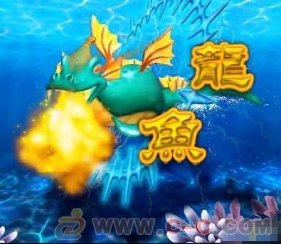 如何讓龍魚不怕人：如何讓龍魚不怕人的一些見解，讓龍魚不怕人的一些見解