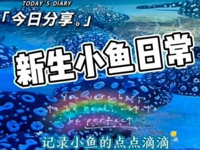 博世龍魚缸連鎖店怎么樣（博世龍水族用品有限公司怎么樣） 博世龍魚缸連鎖店怎么樣（博世龍水族用品有限公司怎么樣） 龍魚百科 第4張