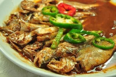 常州龍魚店：常州龍魚店哪家好？