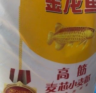 賣金龍魚好嗎值得買嗎現在：賣金龍魚好嗎值得買嗎