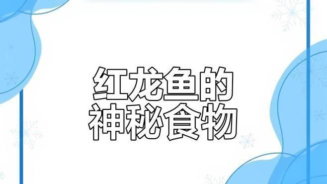 紅龍魚愛吃什么 紅龍魚愛吃什么 龍魚百科 第2張