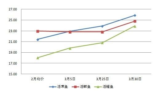 龍魚價格受哪些政策影響？ 龍魚價格受哪些政策影響？ 龍魚百科 第3張