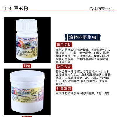 龍魚的最佳喂食時間是多少：龍魚使用甲硝唑的注意事項