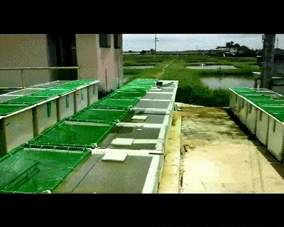 關于中國龍魚養殖場排名榜的問題：中國龍魚養殖場排名榜360問答360問答