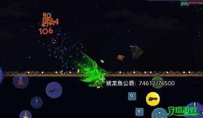 龍魚怎么抓才不會斷尾：龍魚怎么抓才不會斷尾，正確捕捉和照顧龍魚的工具非常重要