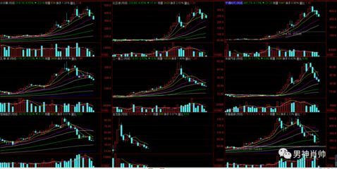 金龍魚跌了多少（2024-12-09跌幅預測） 金龍魚跌了多少（2024-12-09跌幅預測） 龍魚百科 第1張