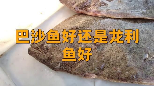 巴沙魚和龍利魚哪個更適合孩子？ 巴沙魚和龍利魚哪個更適合孩子？ 龍魚百科 第1張